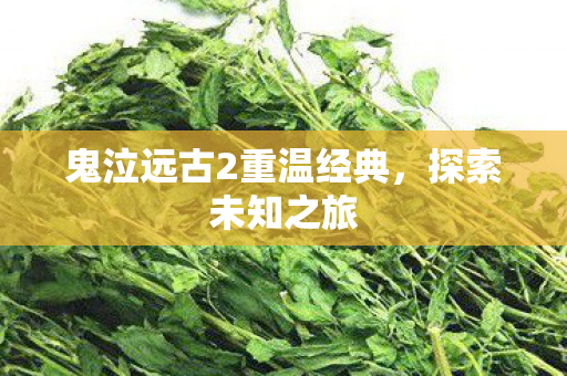 鬼泣远古2重温经典，探索未知之旅