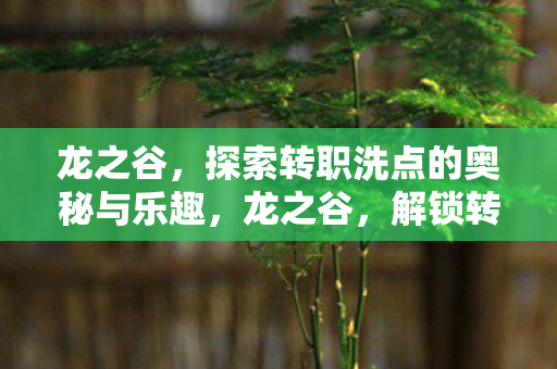 探索转职洗点的奥秘与乐趣图片