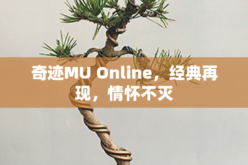 奇迹MU Online,经典再现,情怀不灭 奇迹MU Online,经典再现,情怀不灭