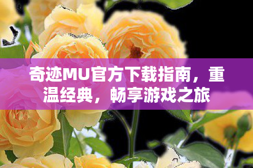 奇迹MU官方下载指南,重温经典,畅享游戏之旅 奇迹MU官方下载指南,重温经典,畅享游戏之旅