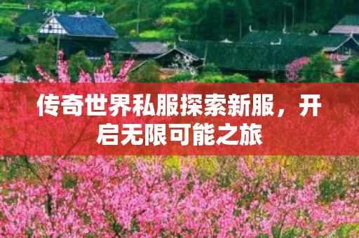 传奇世界私服探索新服图片