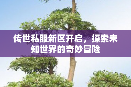 探索未知世界的奇妙冒险图片