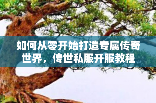 如何从零开始打造专属传奇世界图片