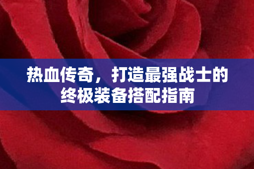 打造最强战士的终极装备搭配指南图片