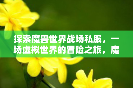 一场虚拟世界的冒险之旅图片