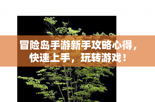 冒险岛手游新手攻略心得图片