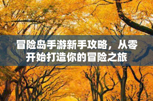 从零开始打造你的冒险之旅图片