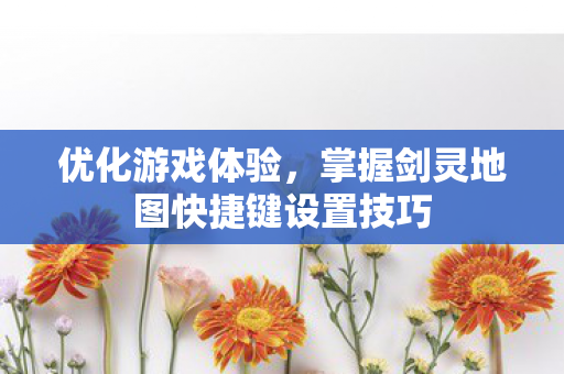 掌握剑灵地图快捷键设置技巧图片