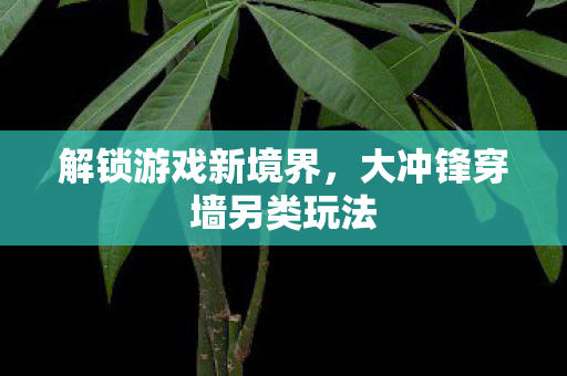 大冲锋穿墙另类玩法图片