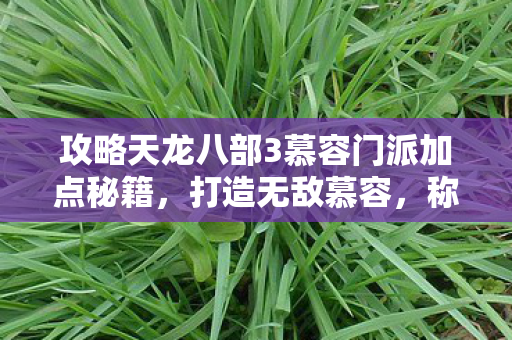 攻略天龙八部3慕容门派加点秘籍图片