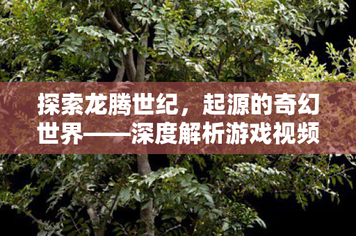 深度解析游戏视频背后的故事图片