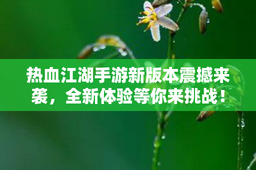 热血江湖手游新版本震撼来袭，全新体验等你来挑战！