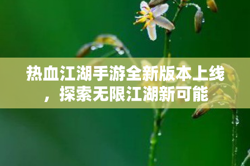 热血江湖手游全新版本上线,探索无限江湖新可能 热血江湖手游全新版本上线,探索无限江湖新可能