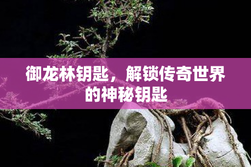 御龙林钥匙,解锁传奇世界的神秘钥匙 御龙林钥匙,解锁传奇世界的神秘钥匙