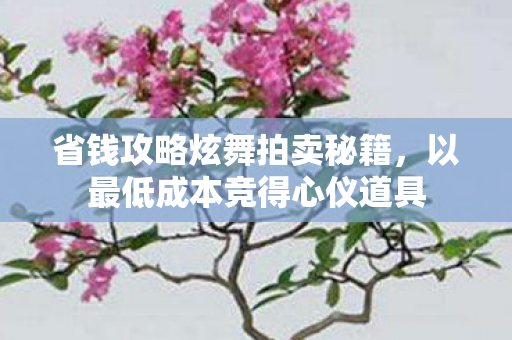省钱攻略炫舞拍卖秘籍,以最低成本竞得心仪道具 省钱攻略炫舞拍卖秘籍,以最低成本竞得心仪道具