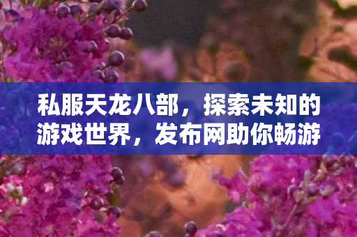 发布网助你畅游虚拟天地图片