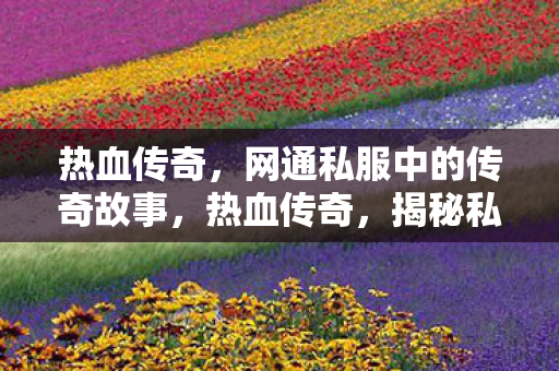 网通私服中的传奇故事图片