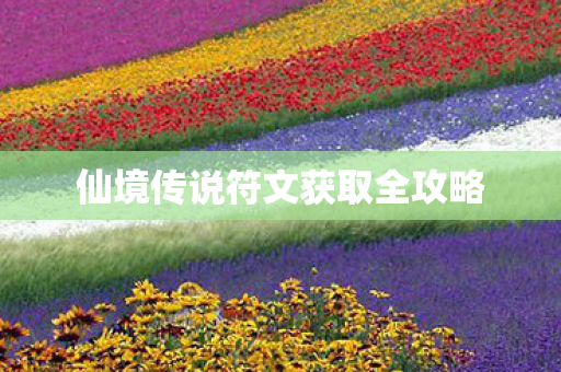 仙境传说符文获取全攻略 仙境传说符文获取全攻略