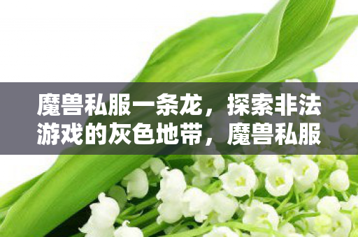 探索非法游戏的灰色地带图片