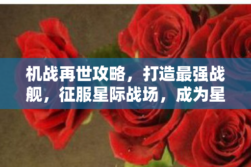 机战再世攻略图片