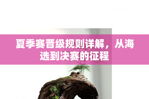 夏季赛晋级规则详解，从海选到决赛的征程
