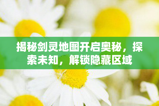 揭秘剑灵地图开启奥秘图片