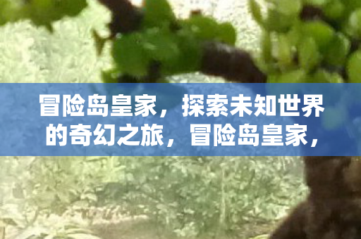 冒险岛皇家，探索未知世界的奇幻之旅，冒险岛皇家，探索未知世界的奇幻之旅