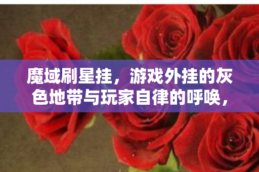 游戏外挂的灰色地带与玩家自律的呼唤图片