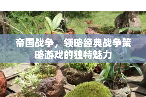 帝国战争，领略经典战争策略游戏的独特魅力