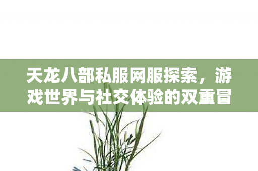天龙八部私服网服探索,游戏世界与社交体验的双重冒险 天龙八部私服网服探索,游戏世界与社交体验的双重冒险