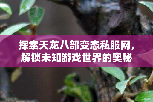 探索天龙八部变态私服网,解锁未知游戏世界的奥秘 探索天龙八部变态私服网,解锁未知游戏世界的奥秘