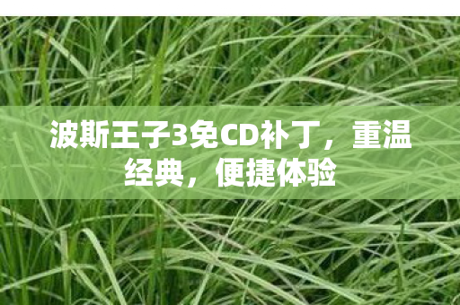 波斯王子3免CD补丁,重温经典,便捷体验 波斯王子3免CD补丁,重温经典,便捷体验