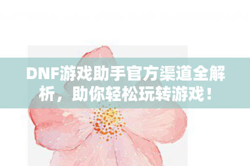 DNF游戏助手官方渠道全解析图片