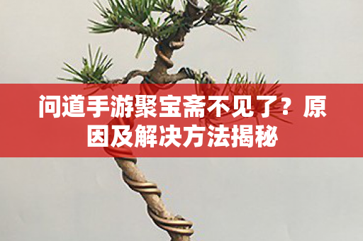 问道手游聚宝斋不见了图片