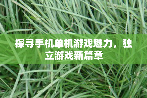 探寻手机单机游戏魅力,独立游戏新篇章 探寻手机单机游戏魅力,独立游戏新篇章