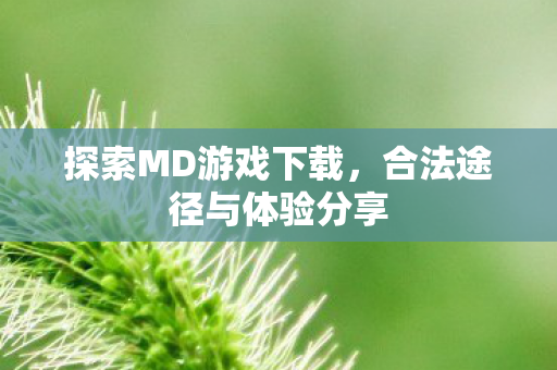 探索MD游戏下载,合法途径与体验分享 探索MD游戏下载,合法途径与体验分享