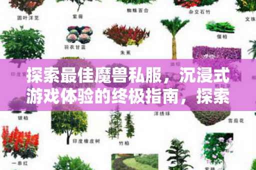沉浸式游戏体验的终极指南图片