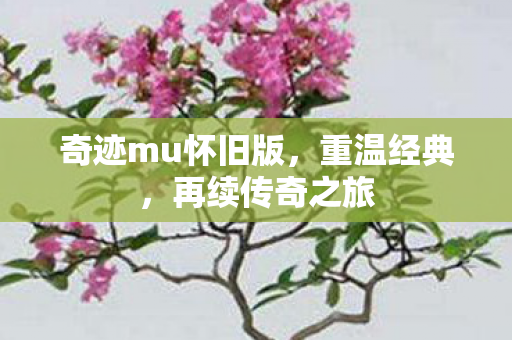 奇迹mu怀旧版,重温经典,再续传奇之旅 奇迹mu怀旧版,重温经典,再续传奇之旅
