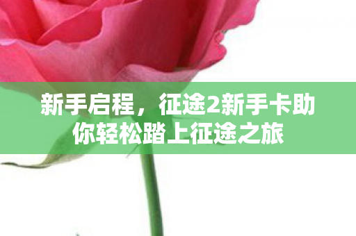 征途2新手卡助你轻松踏上征途之旅图片