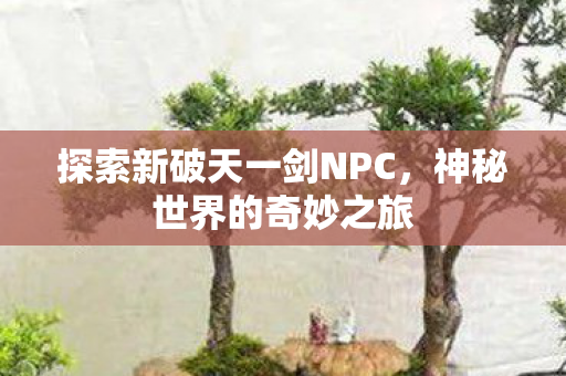 探索新破天一剑NPC图片