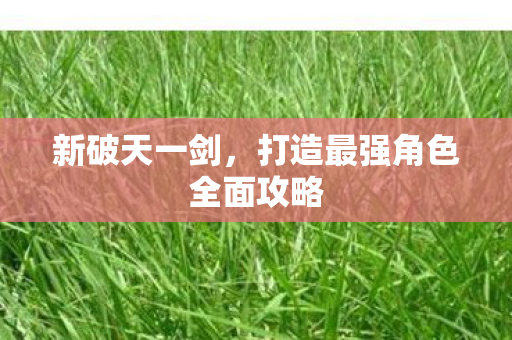 打造最强角色全面攻略图片