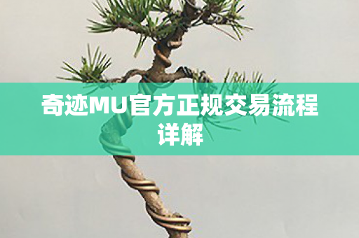 奇迹MU官方正规交易流程详解 奇迹MU官方正规交易流程详解