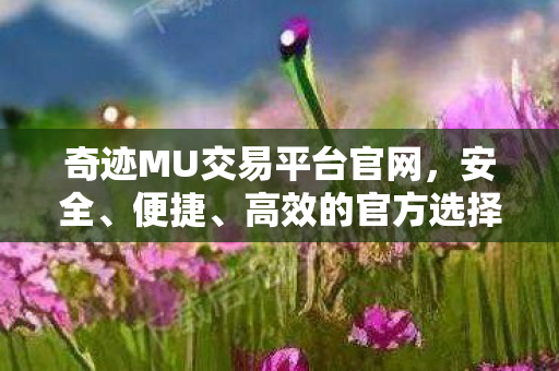 奇迹MU交易平台官网,安全、便捷、高效的官方选择 奇迹MU交易平台官网,安全、便捷、高效的官方选择