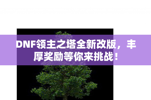 DNF领主之塔全新改版图片