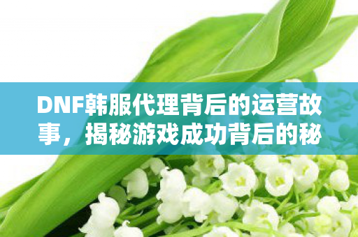 DNF韩服代理背后的运营故事,揭秘游戏成功背后的秘密 DNF韩服代理背后的运营故事,揭秘游戏成功背后的秘密