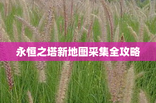永恒之塔新地图采集全攻略 永恒之塔新地图采集全攻略