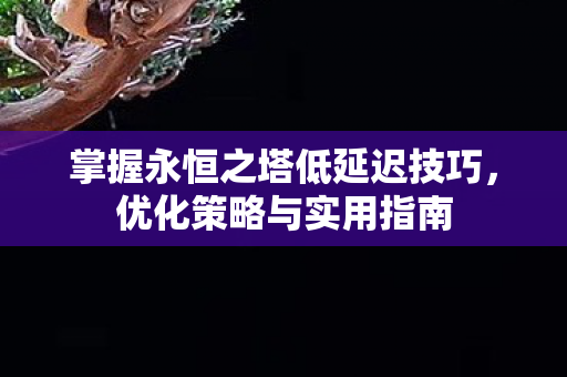 掌握永恒之塔低延迟技巧图片