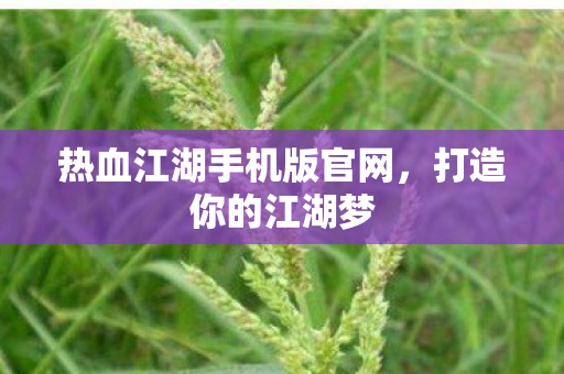 热血江湖手机版官网图片