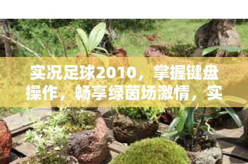 实况足球2010图片