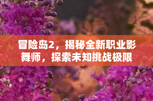 揭秘全新职业影舞师图片